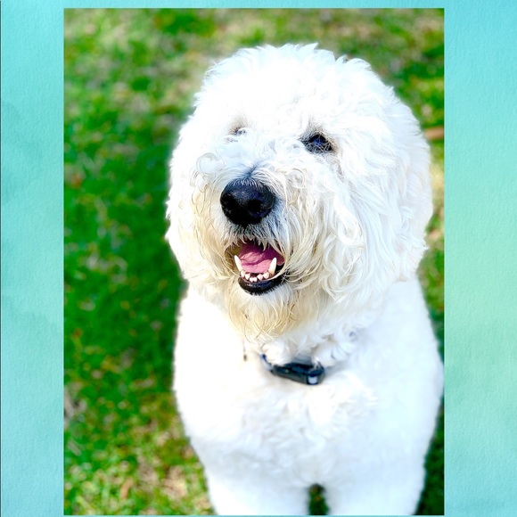 Meet The Vice President π - Picture 8 of 17